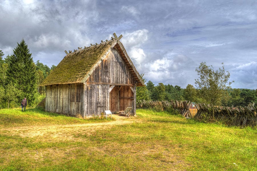 Stodoła otoczona drzewami