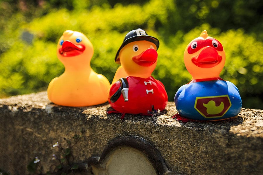 Różne rodzaje gumowych kaczek