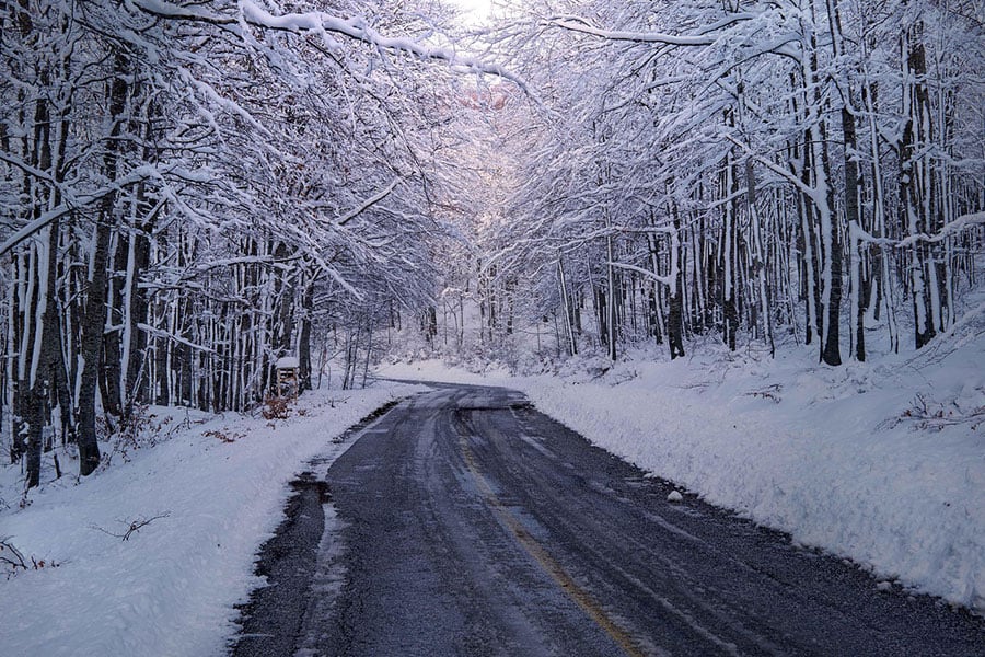 Winding road dense forest covered with snow