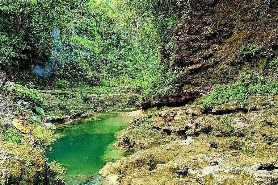 The Danicop Ticugan spring Bohol Philippines