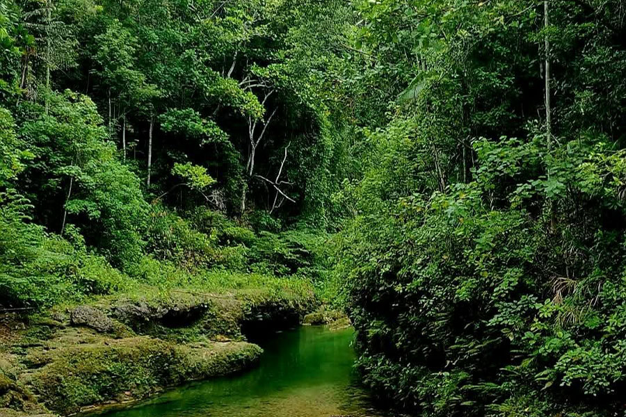 Danicop Ticugan spring natural cold Loon Bohol