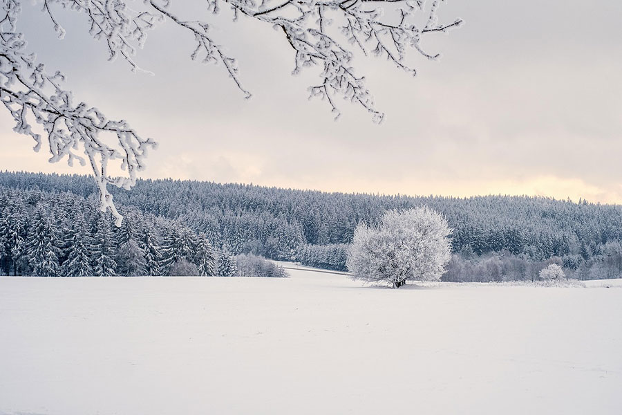 Winterlandschaft, natürliche Umgebung im Winter