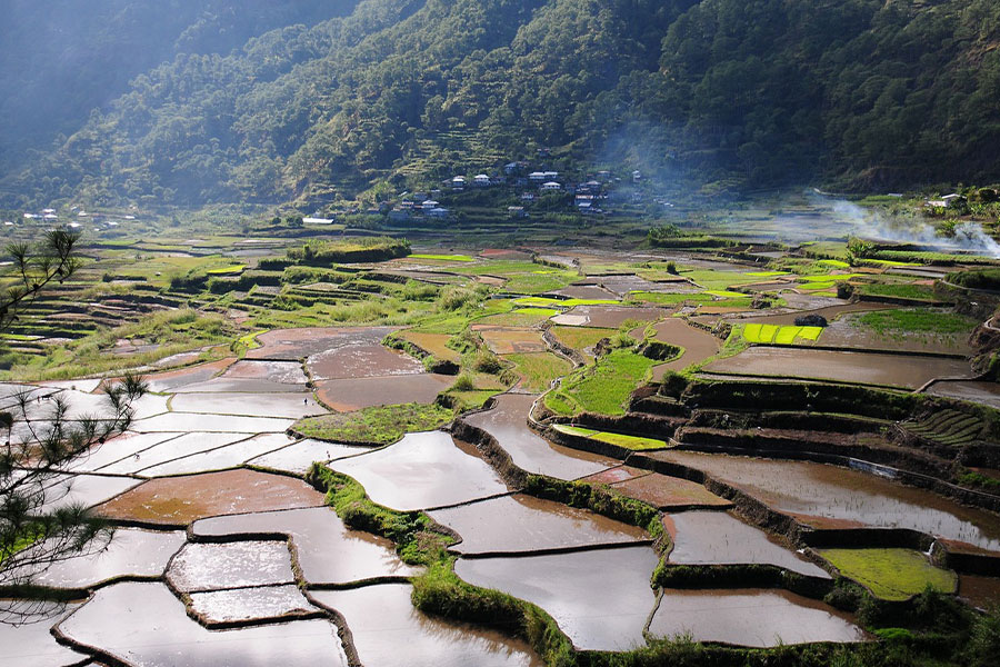 Terrazas de arroz de Banaue, Filipinas