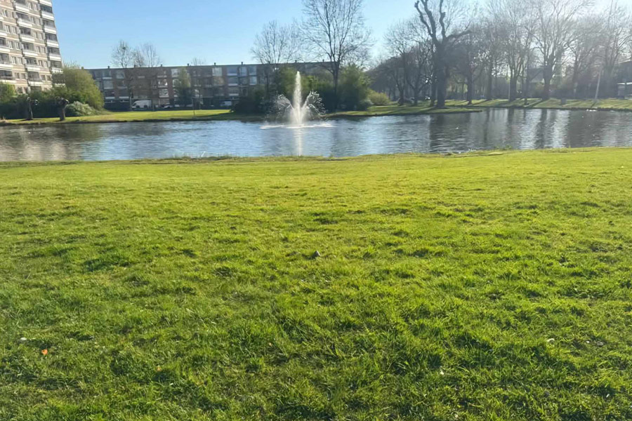 Schöne Landschaft in den Niederlanden