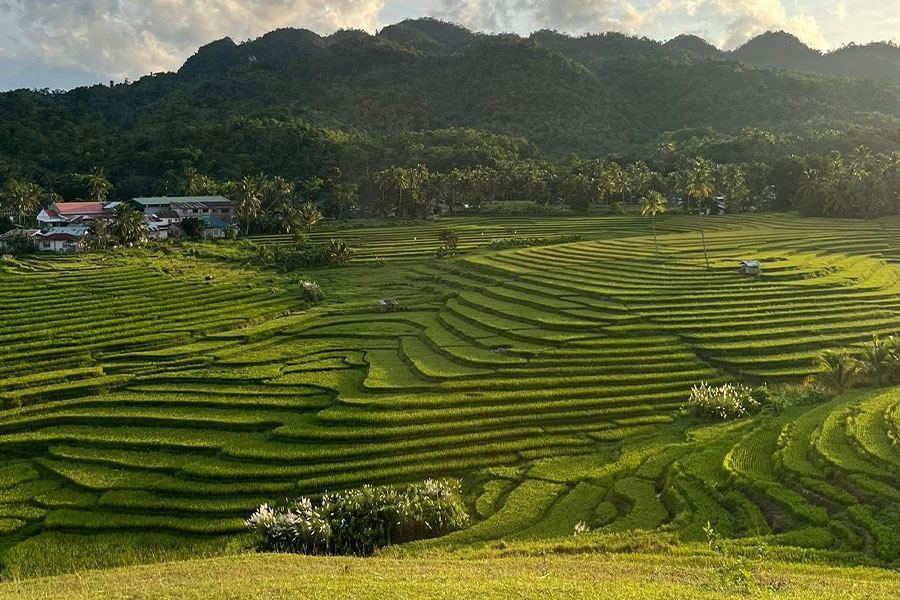 Terrazzamenti di riso Cadapdapan Bohol Filippine