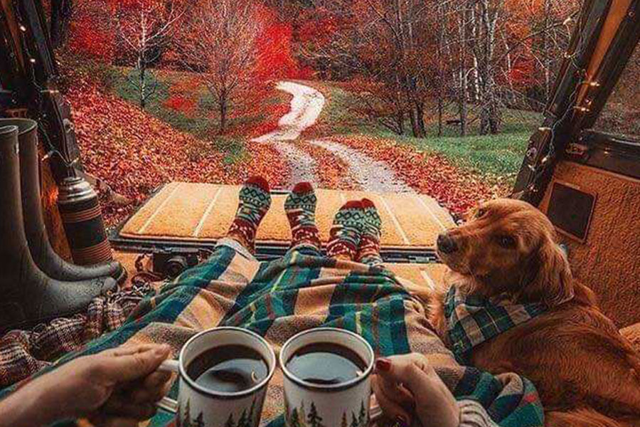 Cozy autumn during picnic camping trip