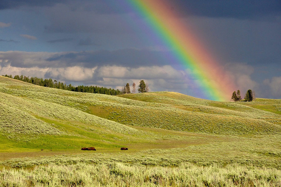 Rainbow hills landscape