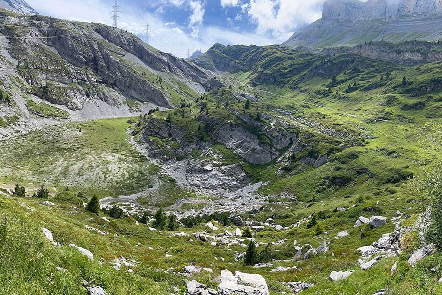 Landschaft mit grüner Bergnatur