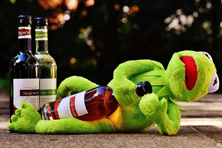 Kermit żaba impreza winna