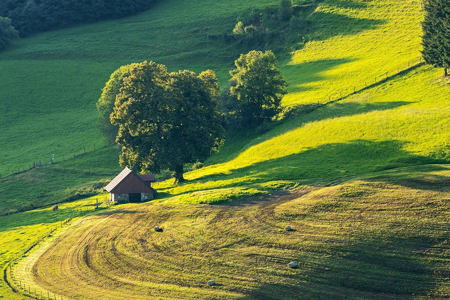Landschaft eines großen Feldes