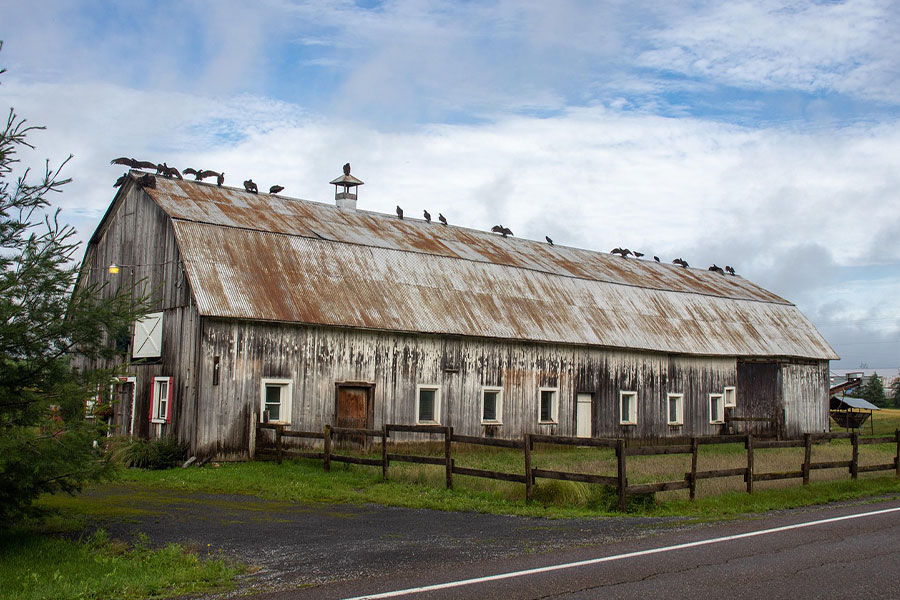Długa wiejska stodoła
