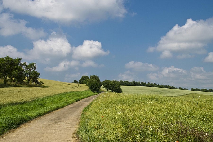 Bauernhof-Feldlandschaft mit Fußweg