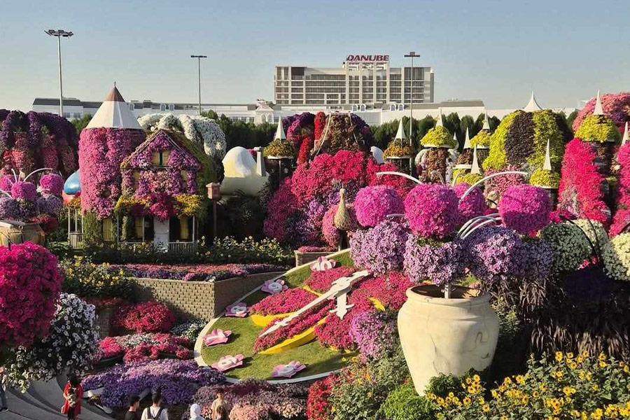 Piękne kolorowe kwiaty