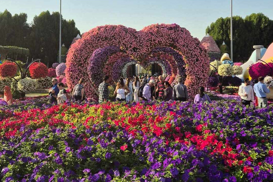 Planta de flor de surfinia del jardín milagroso de Dubái