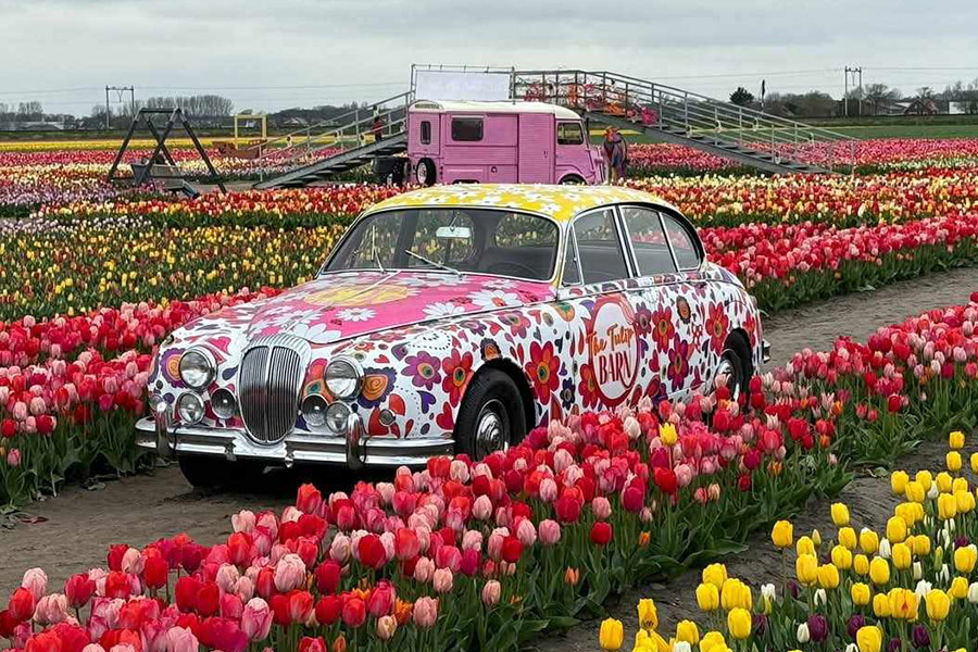 Decoración de automóviles en el jardín de tulipanes de los Países Bajos