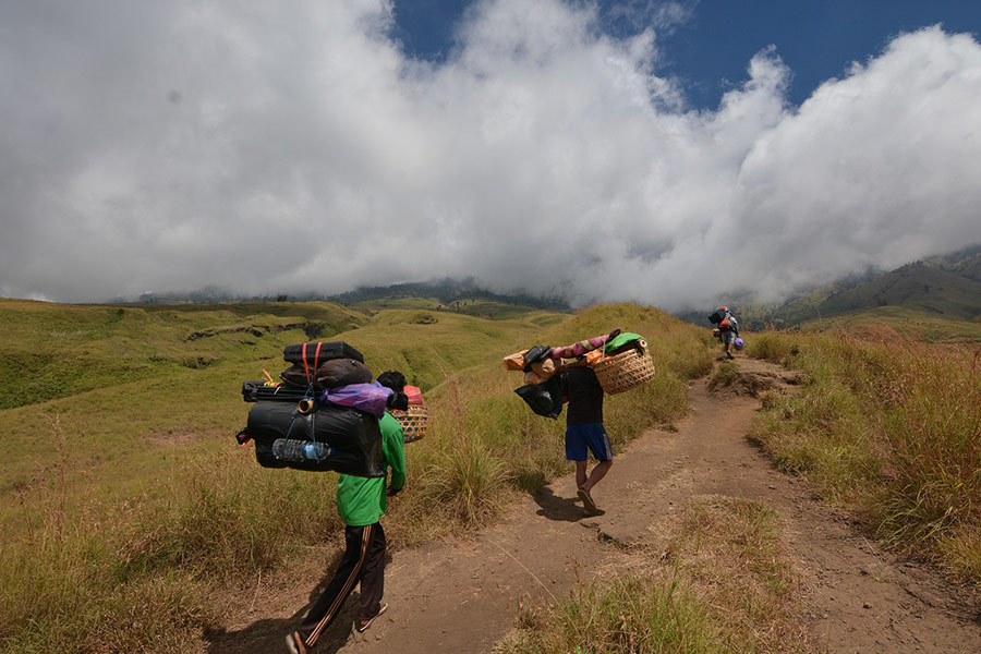 Gente viajando en un safari por la sabana