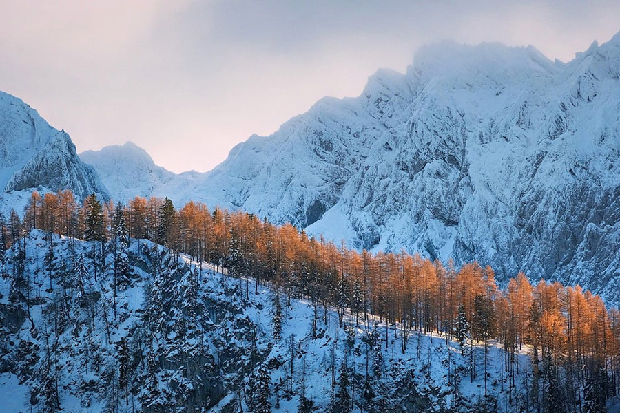 El paisaje de montaña se vuelve blanco