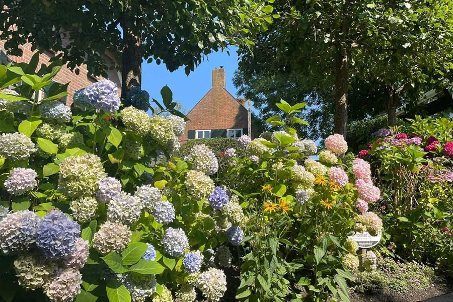 Paisaje de flores único