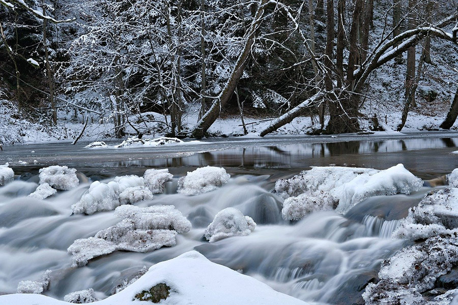 Arroyo de Bach congelado