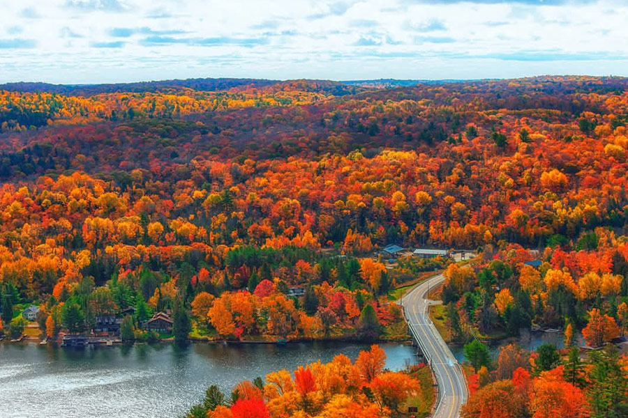 Landcape of colorful nature
