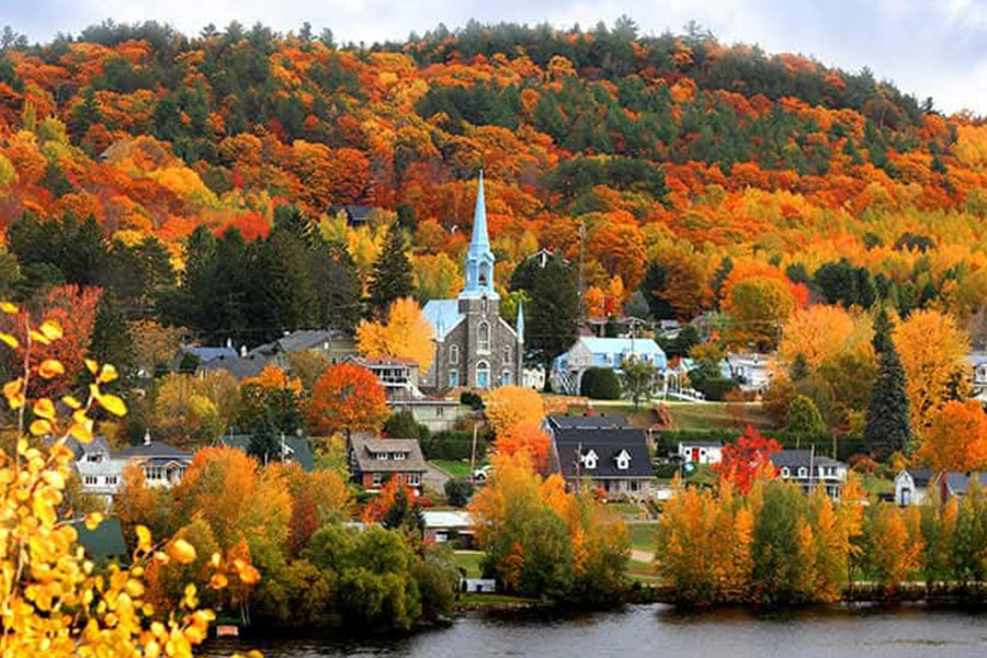 Grandes-stapels in Mauricie Quebec
