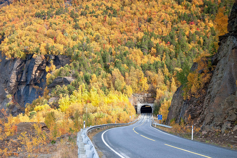 Tunnelstraße unter Waldherbstzeit