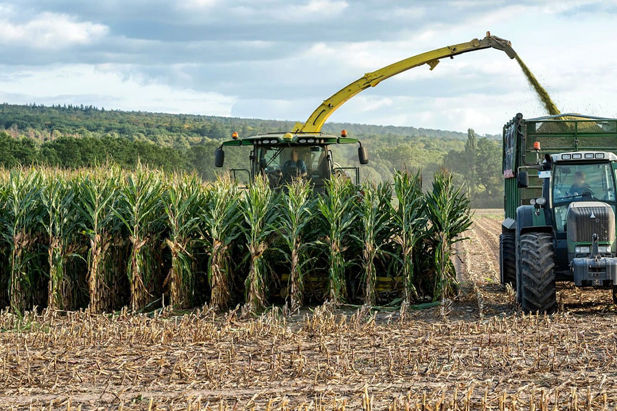 Kombajn zbożowy do zbioru kukurydzy