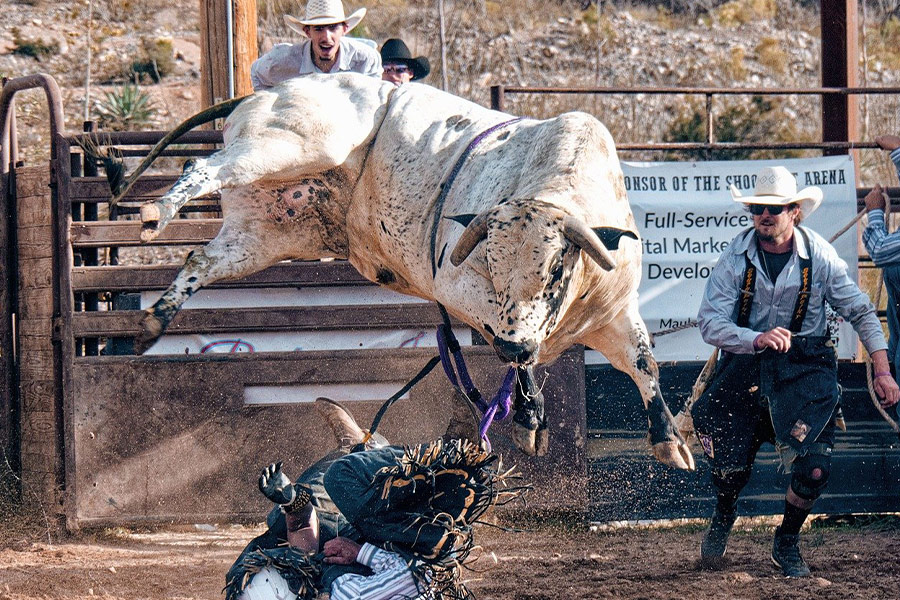 Rodeo westerse cowboy