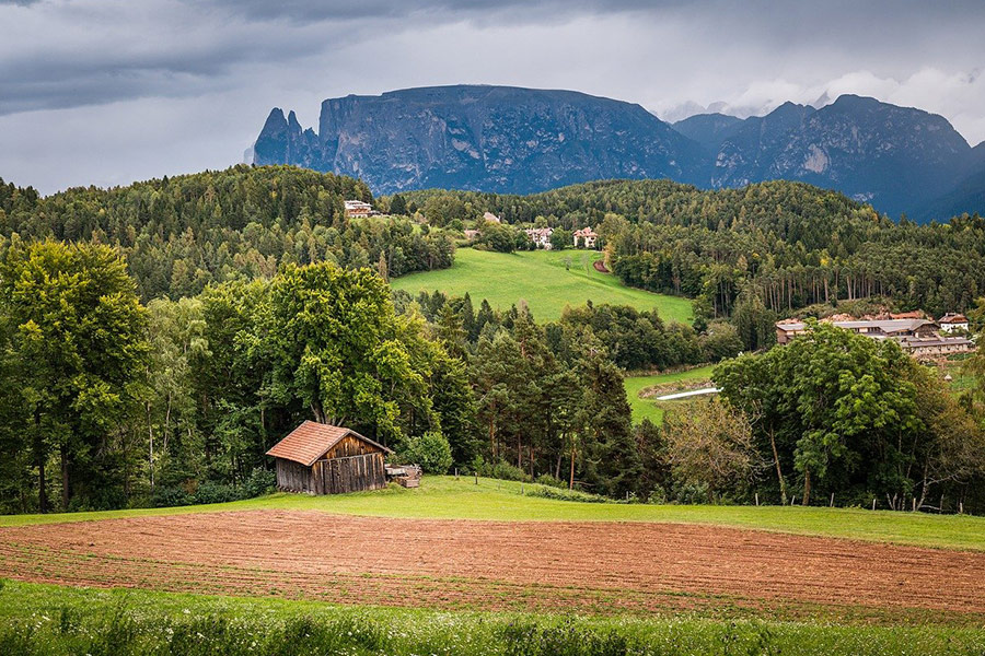 Berge Wiese Hügel Wald