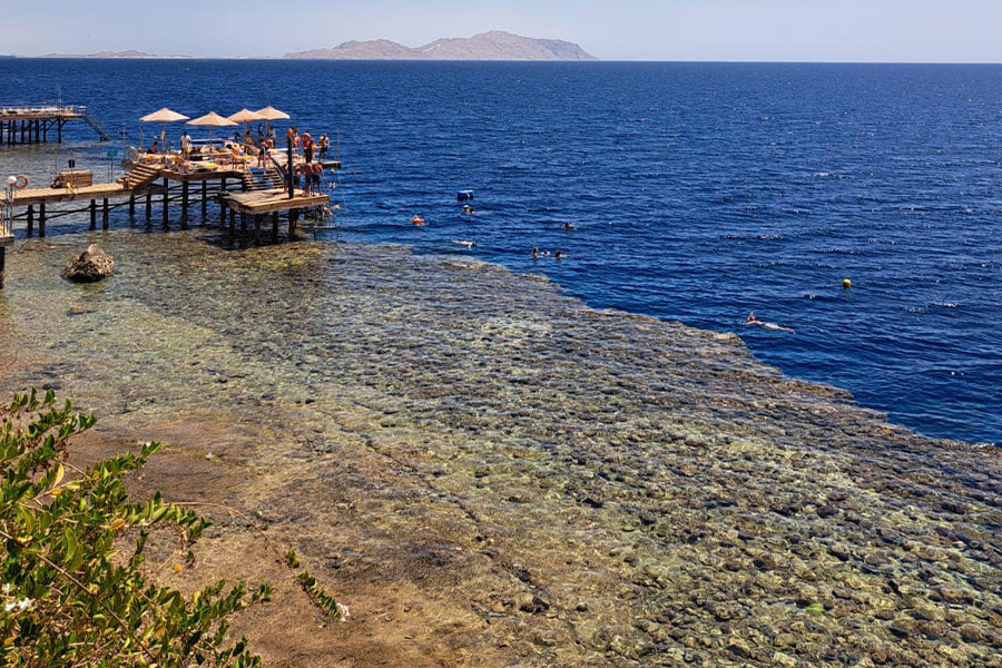Swimming time somewhere Egypt