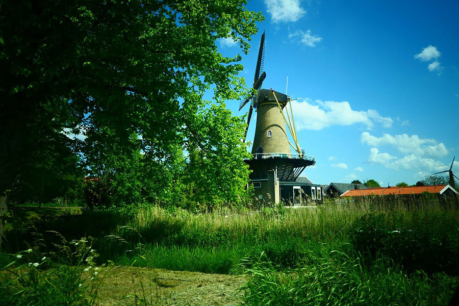 Wiatrak hellevoetsluis Brielle Holandia