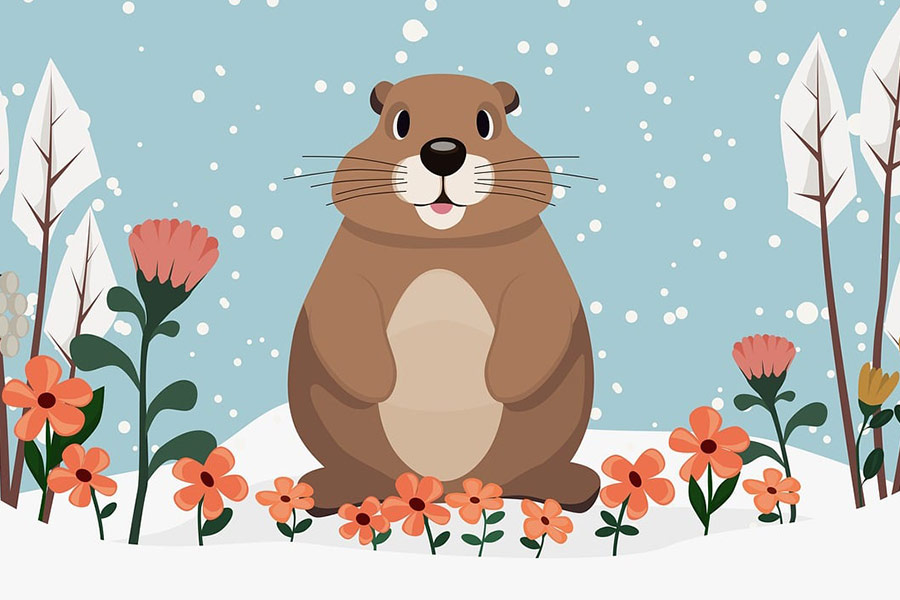 Kreskówka mielonego wieprza