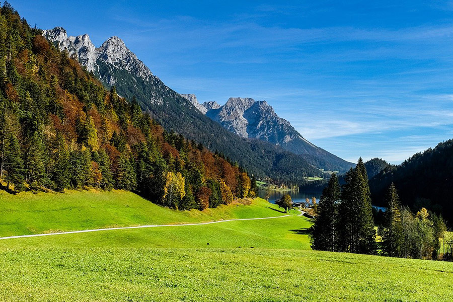 Gebirgswaldlandschaft