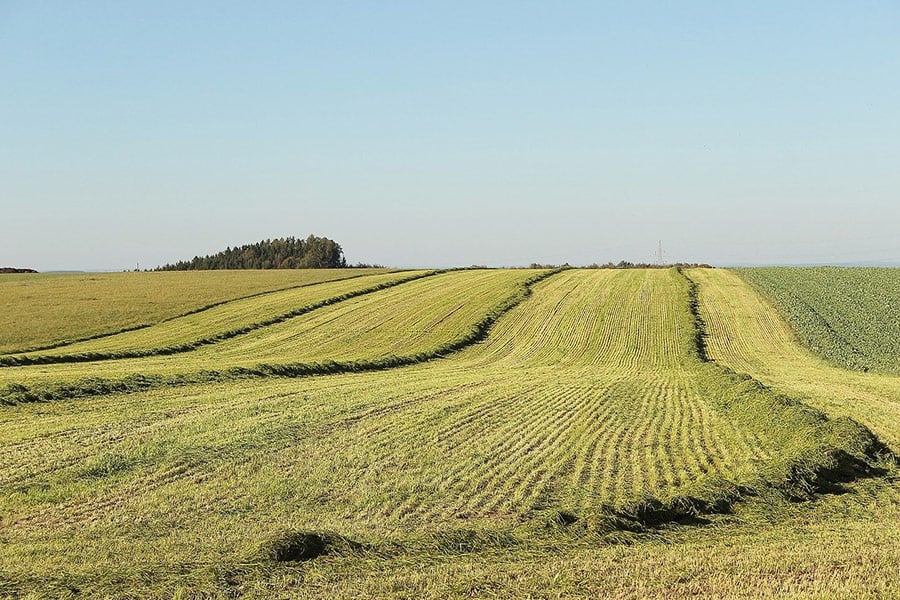 Wiesenbild Landwirtschaftslandschaft