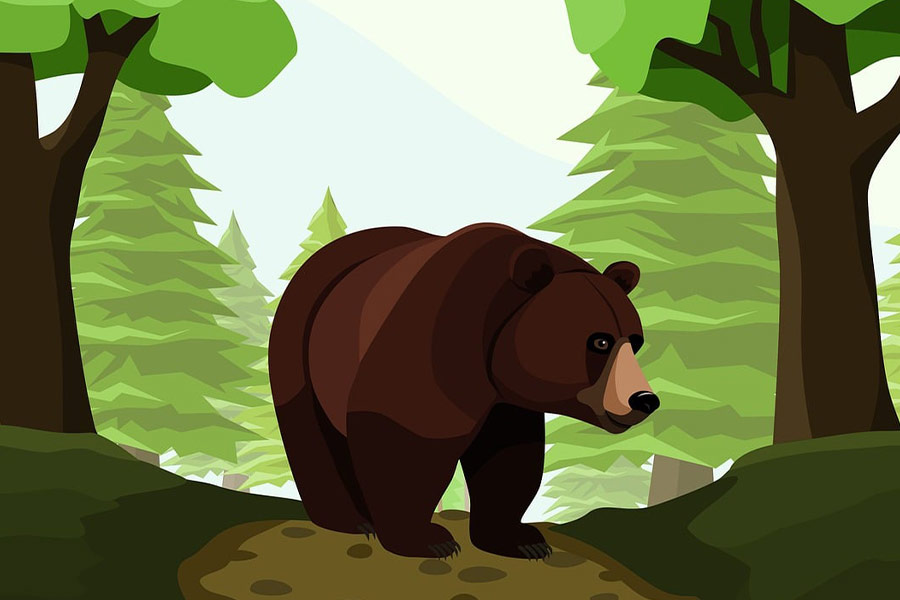 Natura niedźwiedzia zwierzęcego