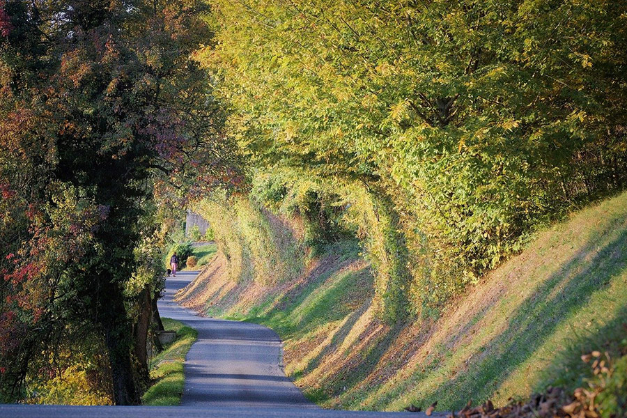 Kleine Wege gestalten
