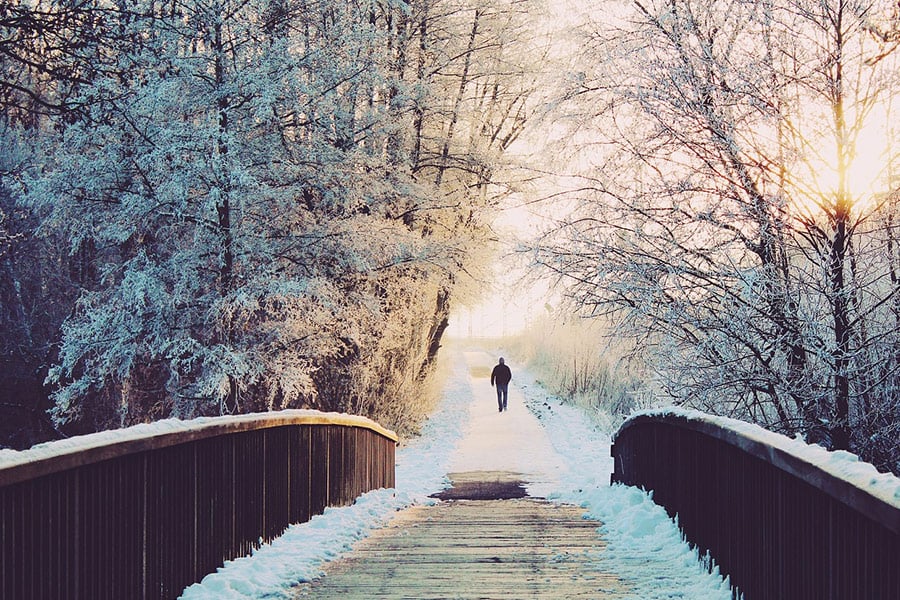 Sentier nature hivernal