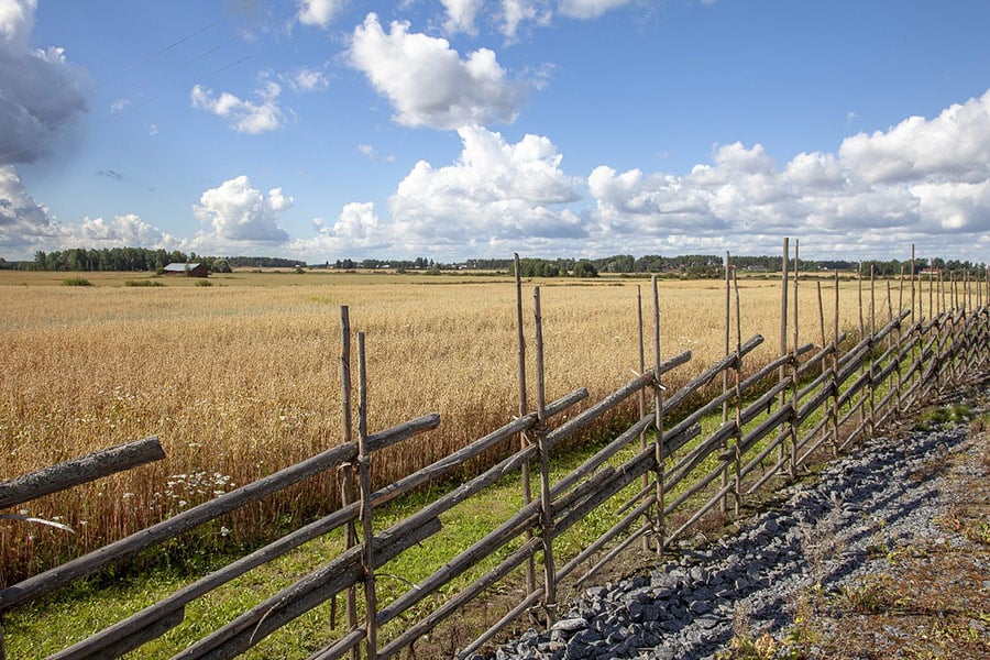 Fence surround grain field