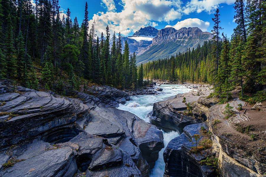 River rocks trees nature