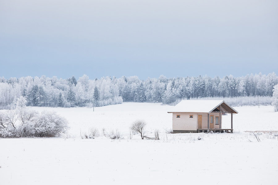 Forest cabin cottage surround with snow
