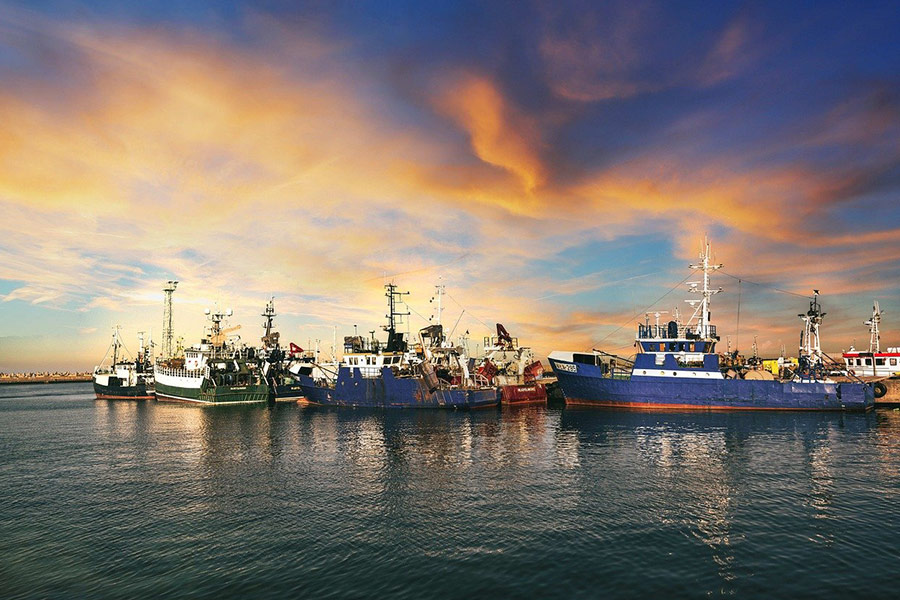 Sea port ships