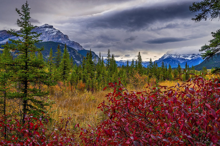 Colorful surrounding mountain