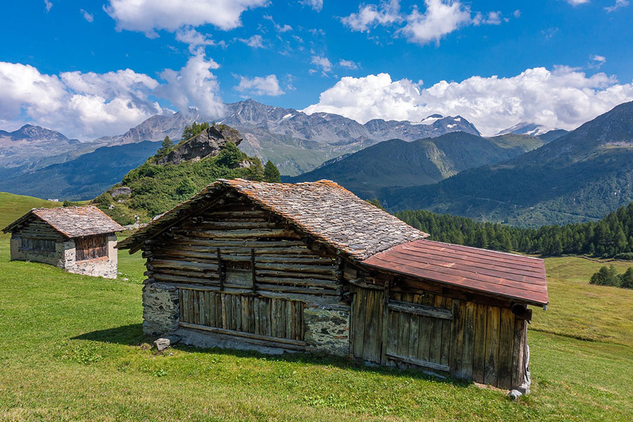 Cabin cottage hut