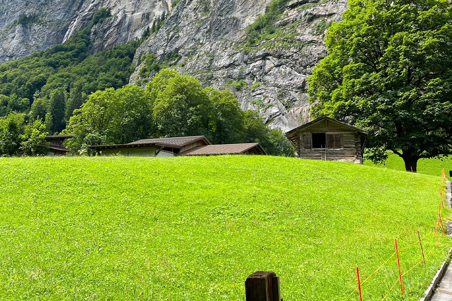 Greeny ground landscape