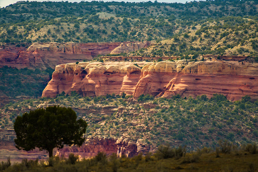 Arid canyon dawn