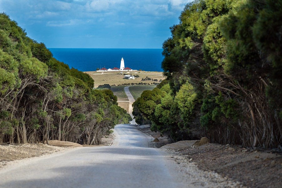 Way to light house Cape willoughby