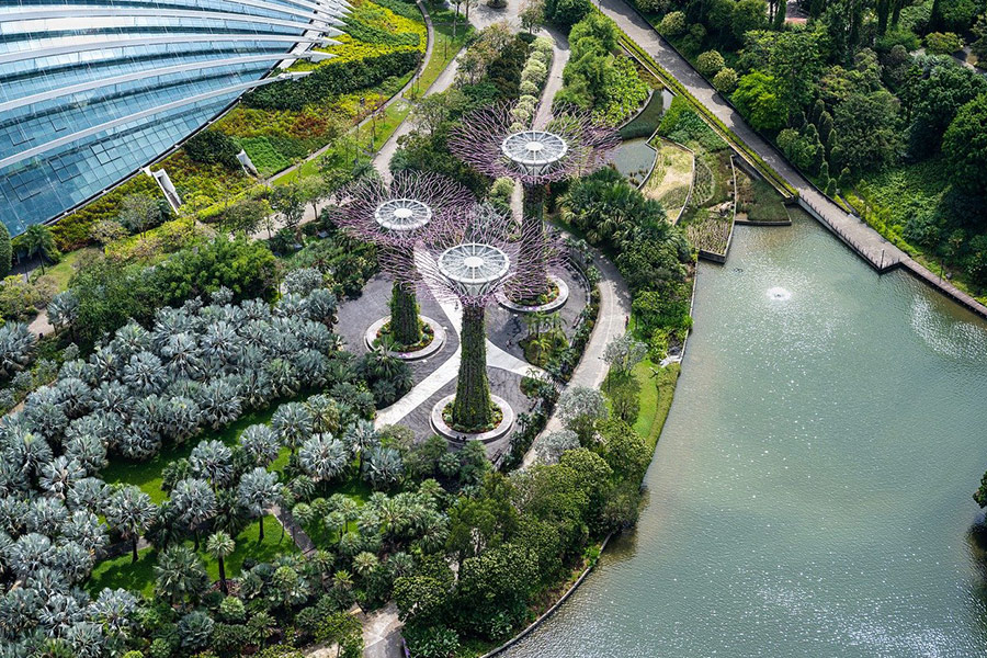 Garden by the bay Singapore landmark
