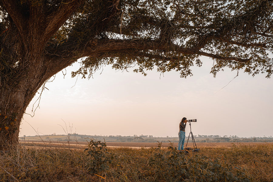 Woman standing under big tree