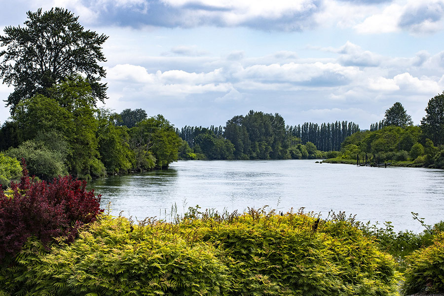 River middle the nature