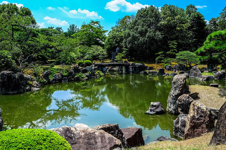Green garden